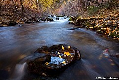 cottonwoodstream102010 6199