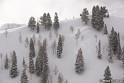 skierfareast022508 015