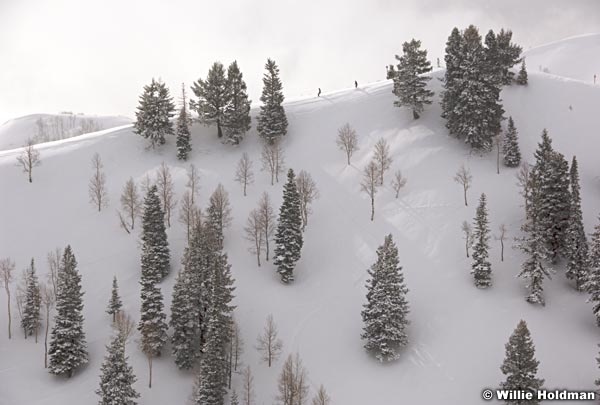skierfareast022508 015