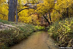 Calf Creek Autumn 101717 3431