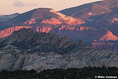 Cockscomb Sunrise Torrey 102821 9962