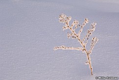 12180654