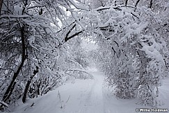 Snow Path 010517 9115 5