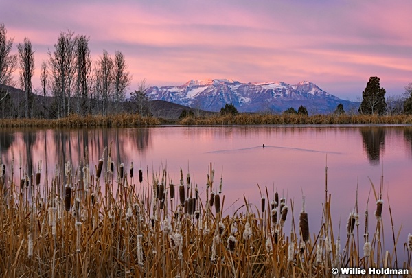 Timpanogos Ice Pond 111517 8538