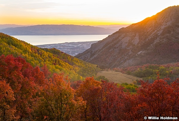 Grove Creek Utah County Autumn 100822 1963