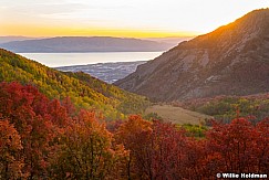 Grove Creek Utah County Autumn 100822 1963