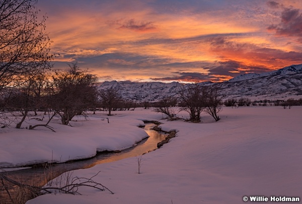 Sunset Fields Heber 022519 8535