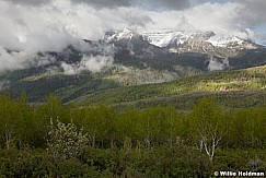 Spring Greens Timpanogos 052913 6144