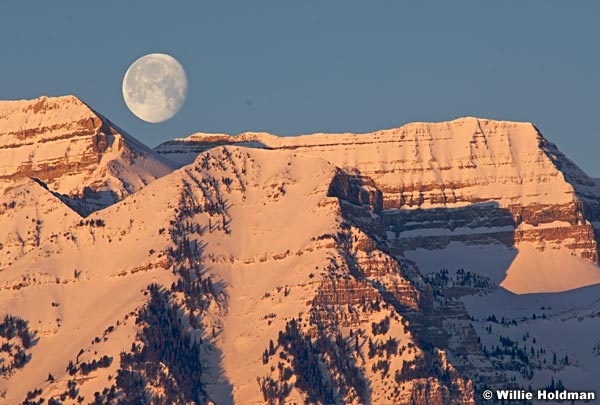 moontimp031309 538