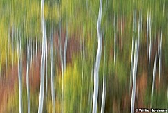 aspenabstract092507 1013