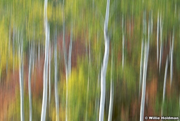 aspenabstract092507 1013