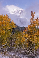 yellow Green Aspens 100413 7770