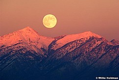 D1105fullmoonboxelder