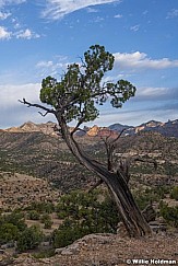 Book Cliffs Rock Creek 050221 5056