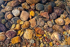 powellcolorfulrock082110 2373