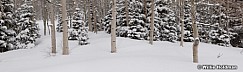 Deer Valley Aspen Pan 032313