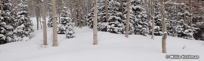 Deer Valley Aspen Pan 032313