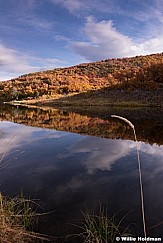 Autumn Pond 100813 0434