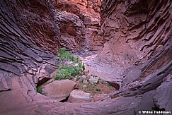 North Canyon Grand Canyon 041818 3691