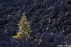 Lone Tree Lava 1108 9162 3