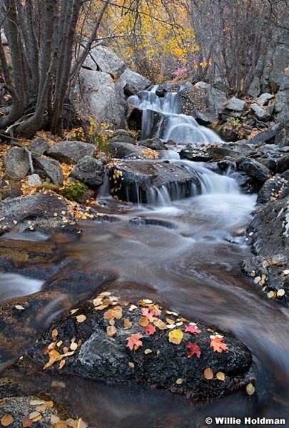 Cascading Waterfall 102520 9270 4