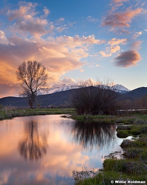 Riverbottomreflections050411 146