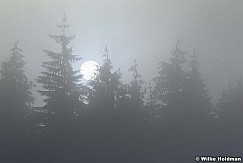 265190000213