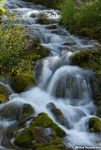 American Fork Stream 063012 95 2