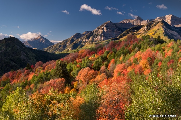 Cascade Timpanogos Color 092213