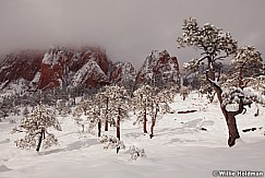 Zion Snow 031912 259