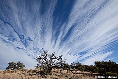 whiterimecanyonlands110610 8849