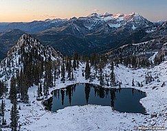 Timpanogos Silver Glance Snow 100416 1165