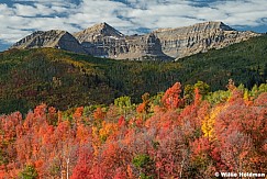 Rich Autumn Reds Alpine Loop 092624 0430