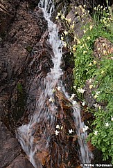 Columbine Waterfall 071321 6198