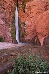 Deer Creek Waterfall Grand Canyon 041115 5741