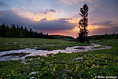 Lakecreeksunsetmeadow 126