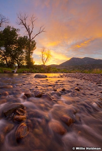 Provo River Rock 080813