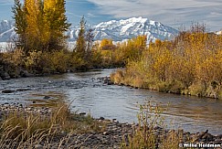 Cascade Provo River Autumn 102021 7701