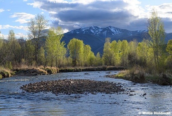 Spring Greens Provo River 041426 3731