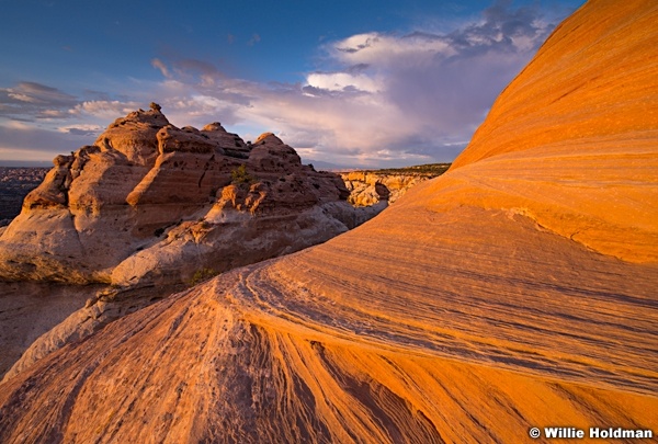 Beef Basin Rock 050415 9133 2