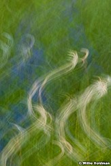 Naturesform062410 0887