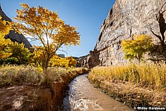 Fremont River 103024 6328