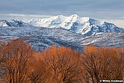 Cascadelimbs120910 91