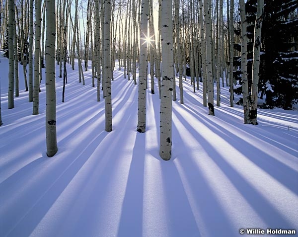 SunburstAspens198020000402