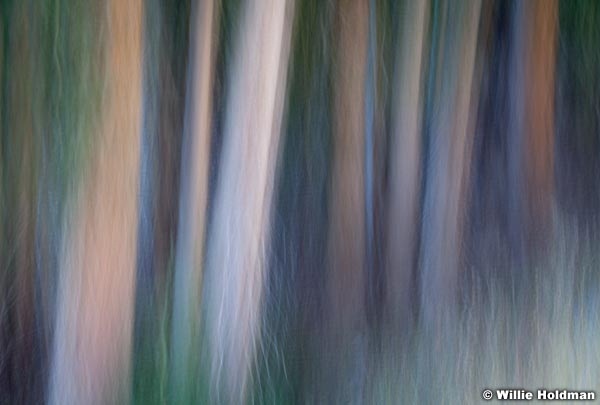 Abstractimpressions101510 6100