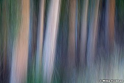 Abstractimpressions101510 6100