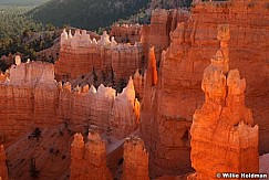 DBryce0043