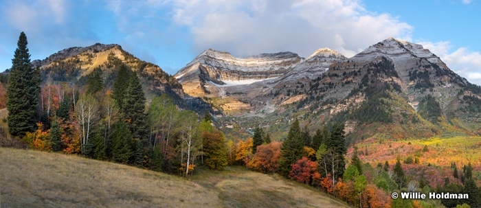 Autumn Colors Timp 10117 7251F