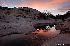 Boulder Creek 052113 4961