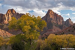 The Watchman Zion 110921 3550